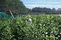 100_2469 (Copier)